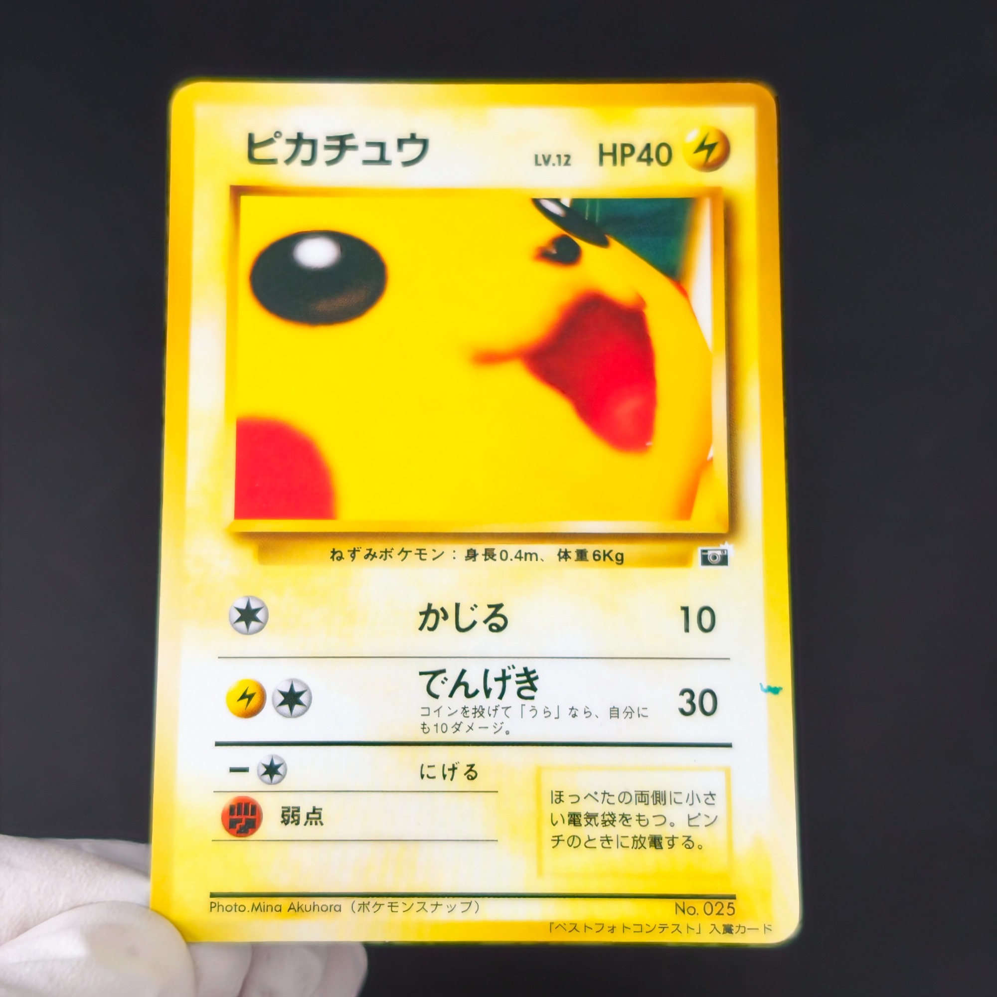 Retro Gaming Pokemon - 10 Tarjetas Coleccionables de Pokémon Vintage,